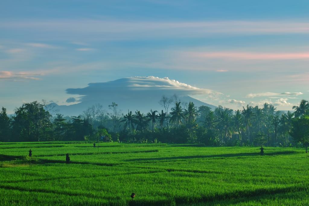 Putra Guest House Ubud  Exterior photo